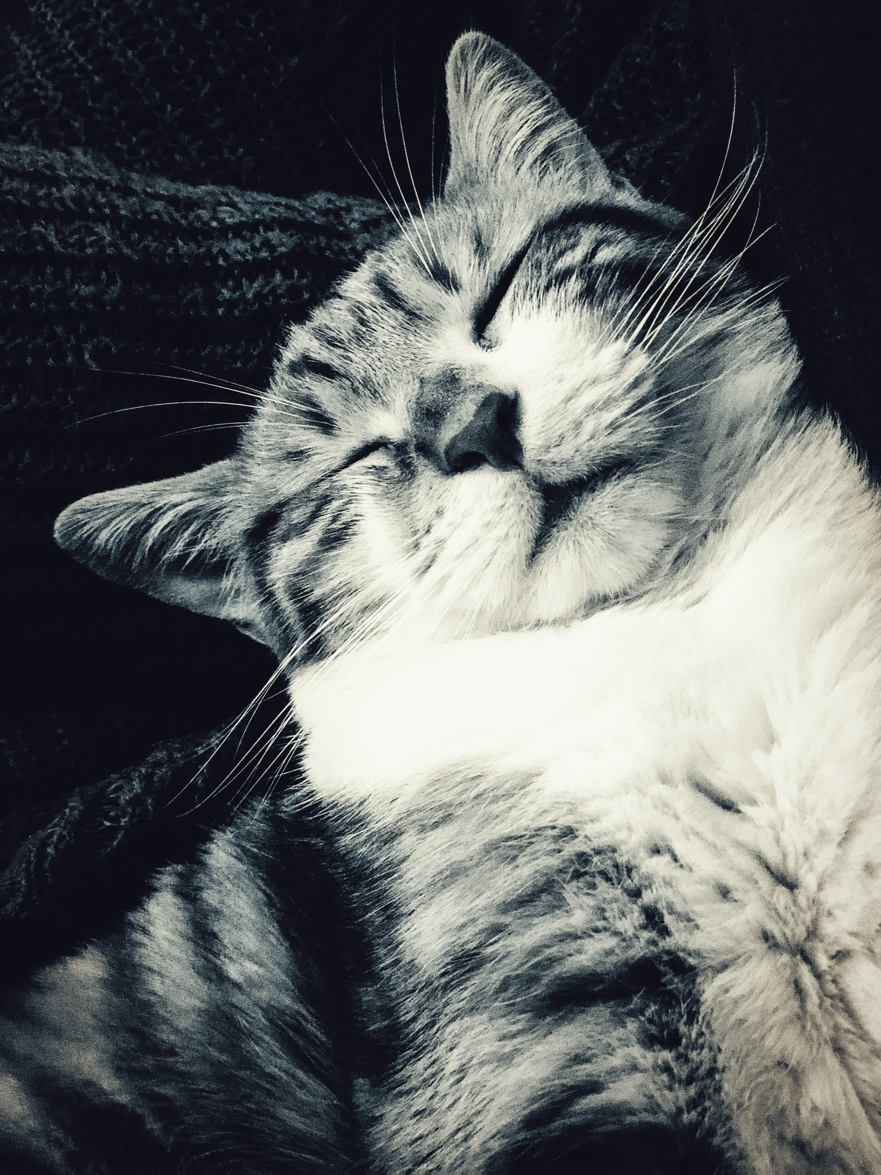 16-AABD953D-E41A-41B8-8464-D95F9CC02FFD