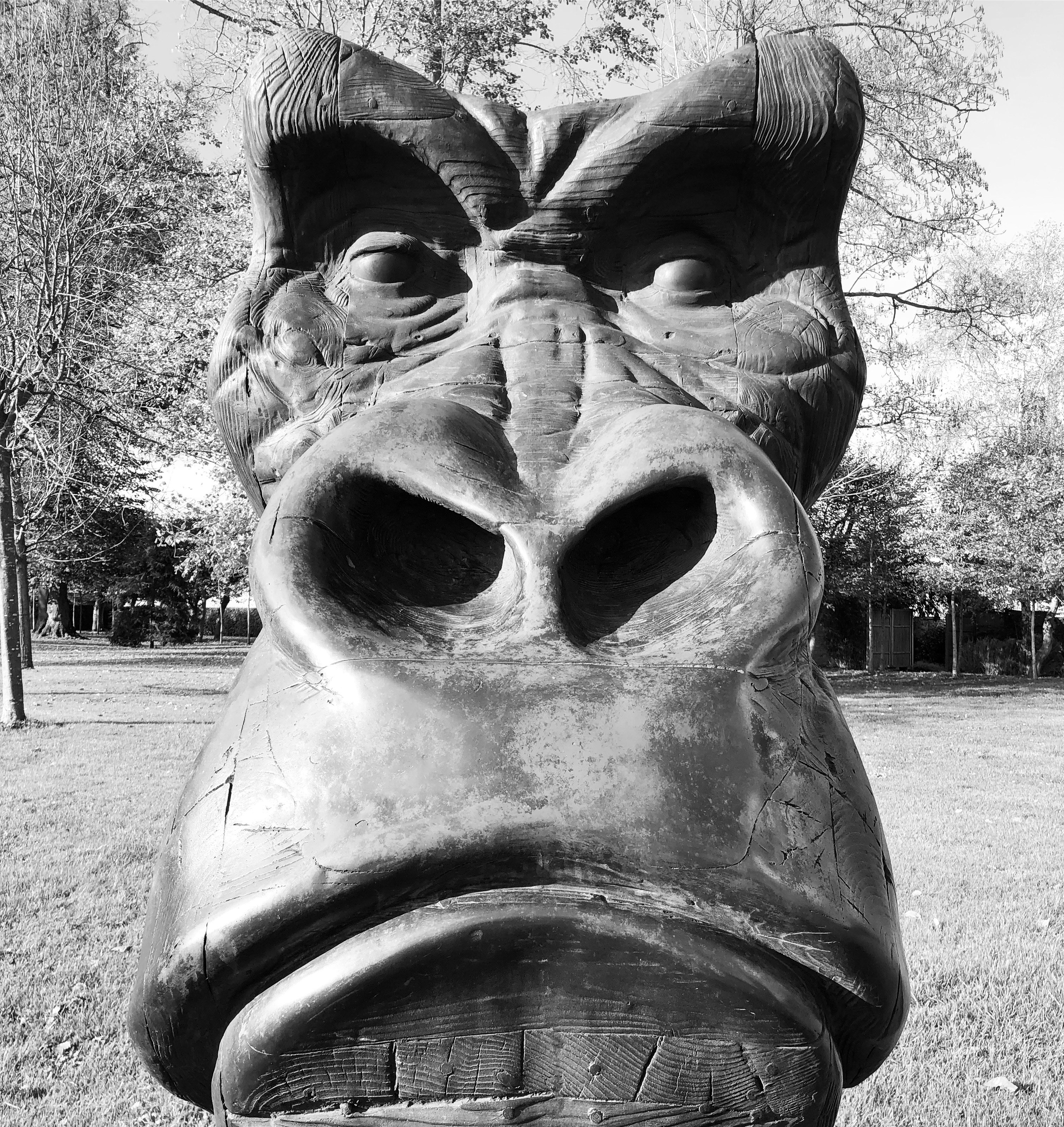 27-4424694E-C34C-4FE9-9B16-F6826E995B64