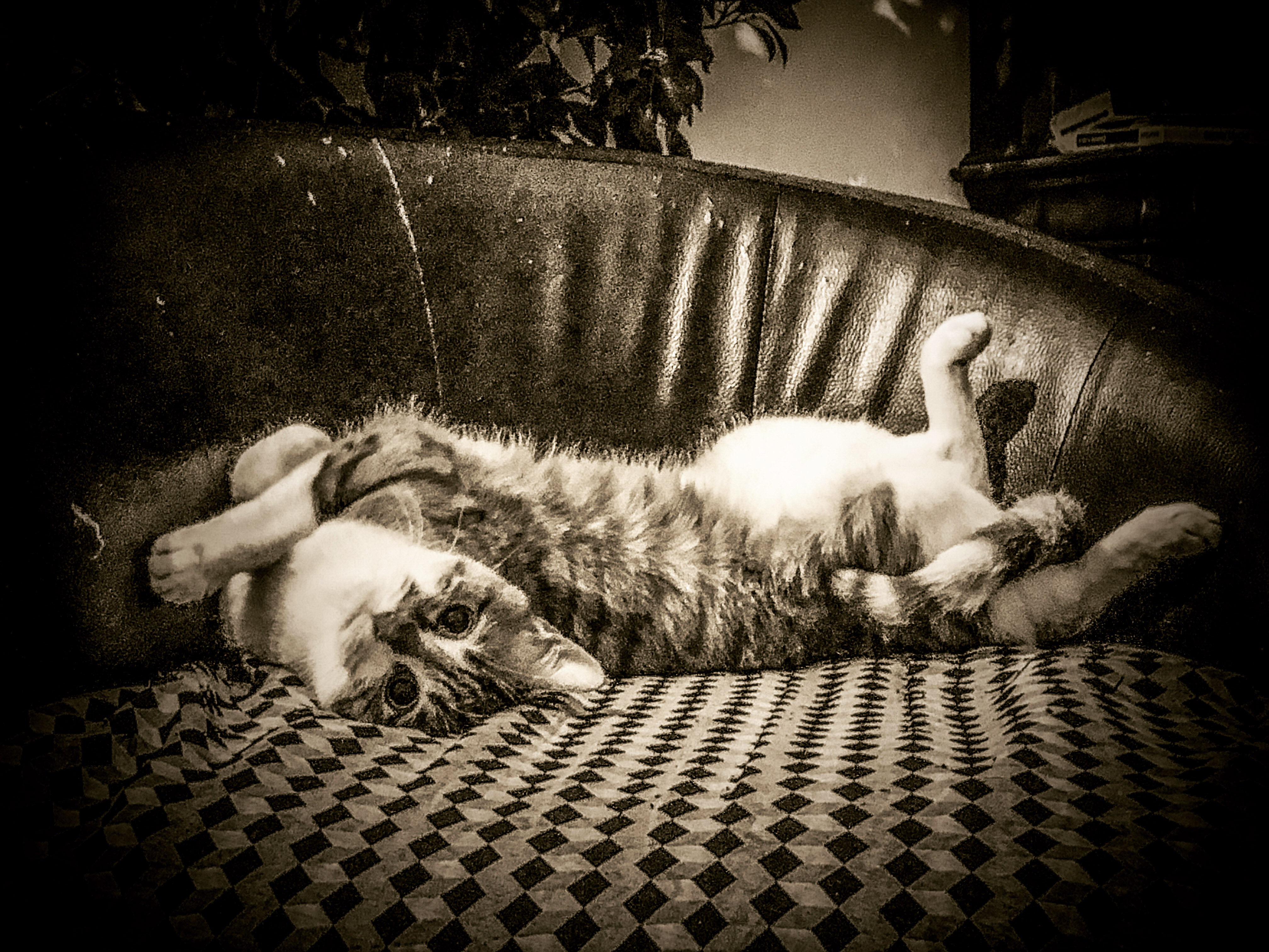 50-30230153-BDE2-4AE7-A60A-F7F4121C494D