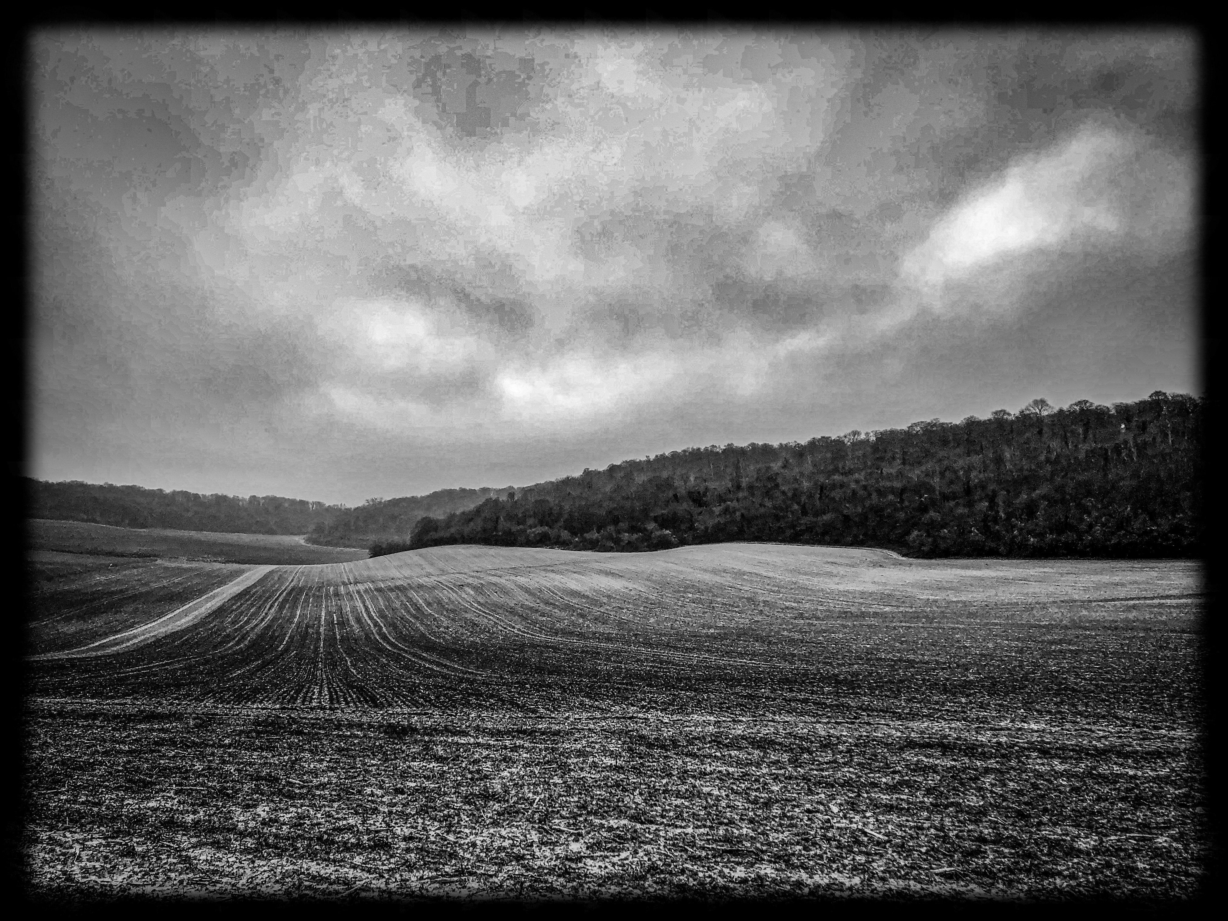 52-4A270995-DD12-47CE-A453-CA3FC38196FF