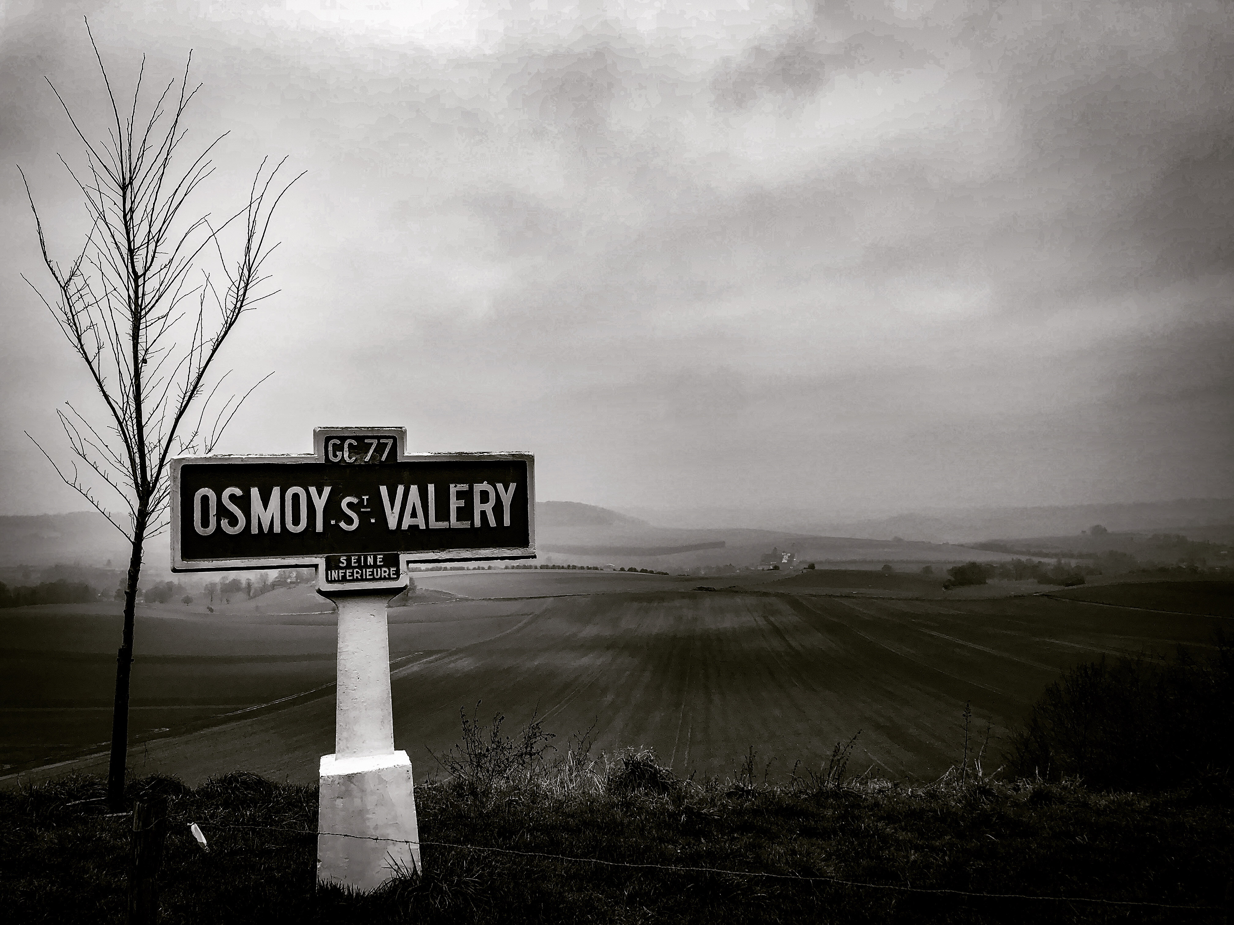 54-44B2012C-225F-441B-B4F5-08750B7E1DEB