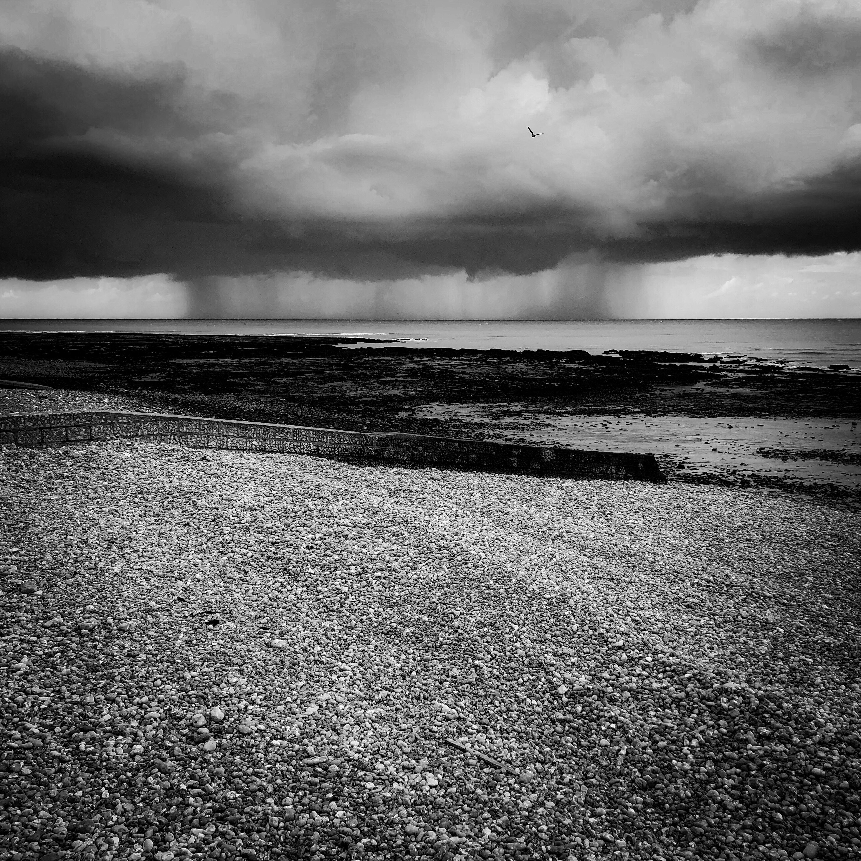 60-15337647-6609-42D6-BBE8-11612A807940