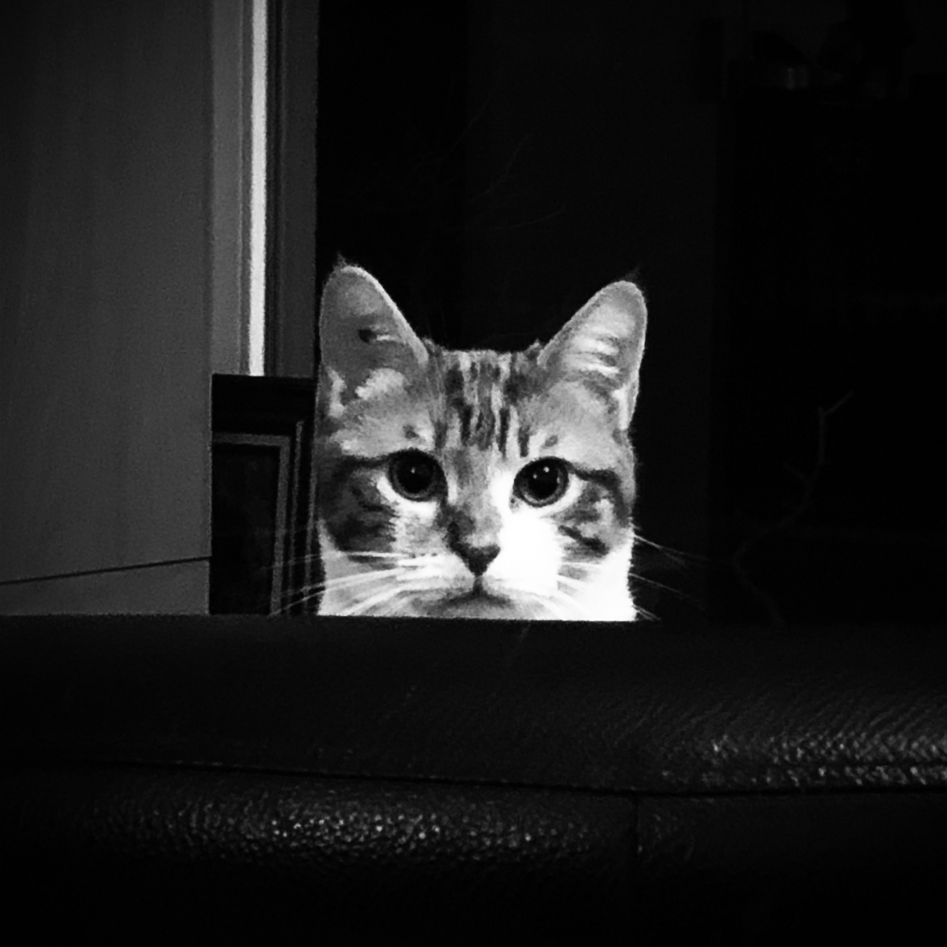 7-C69EC5CB-9615-483A-9955-252716D06919