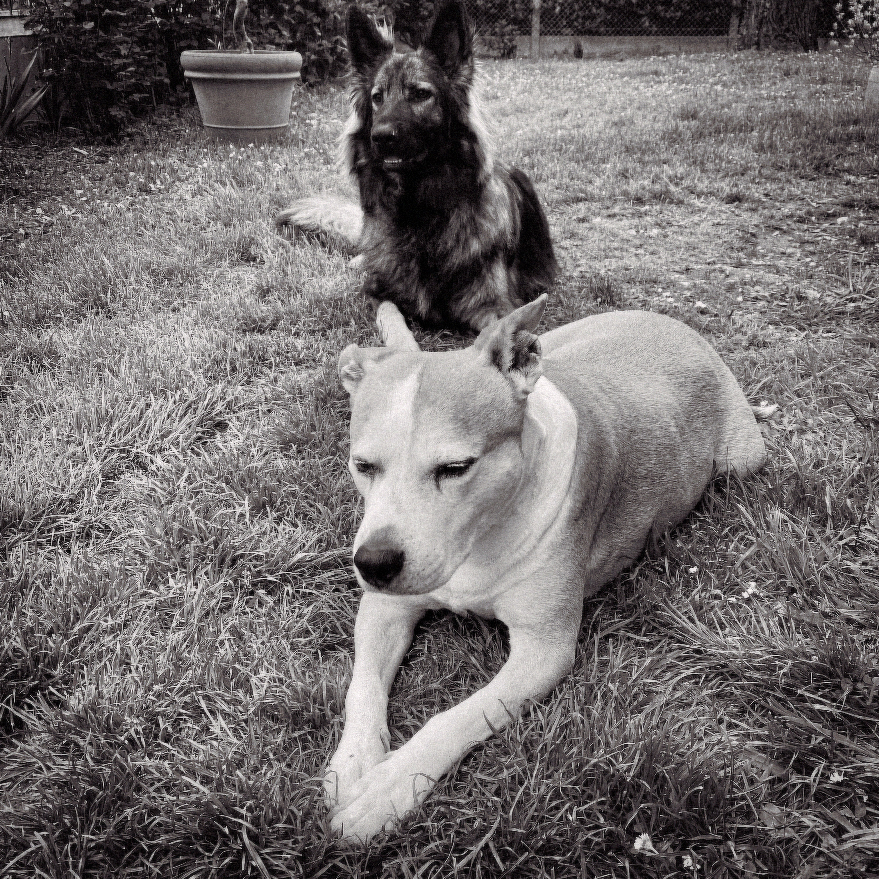 97-34B36AE4-4C3A-442B-9101-D8958429764F