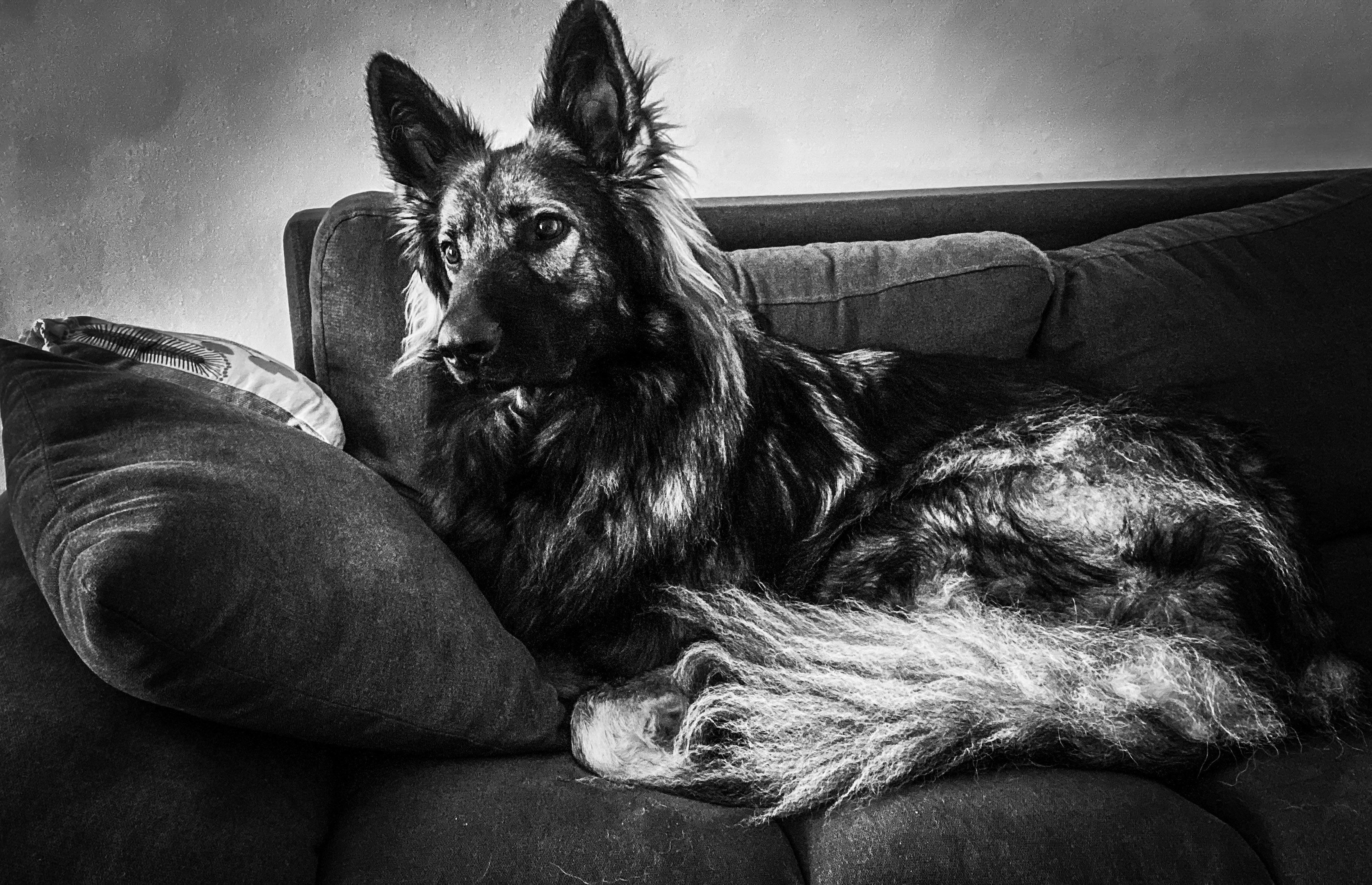 98-8A0B38EF-109A-47AD-893A-85BC308A14D6