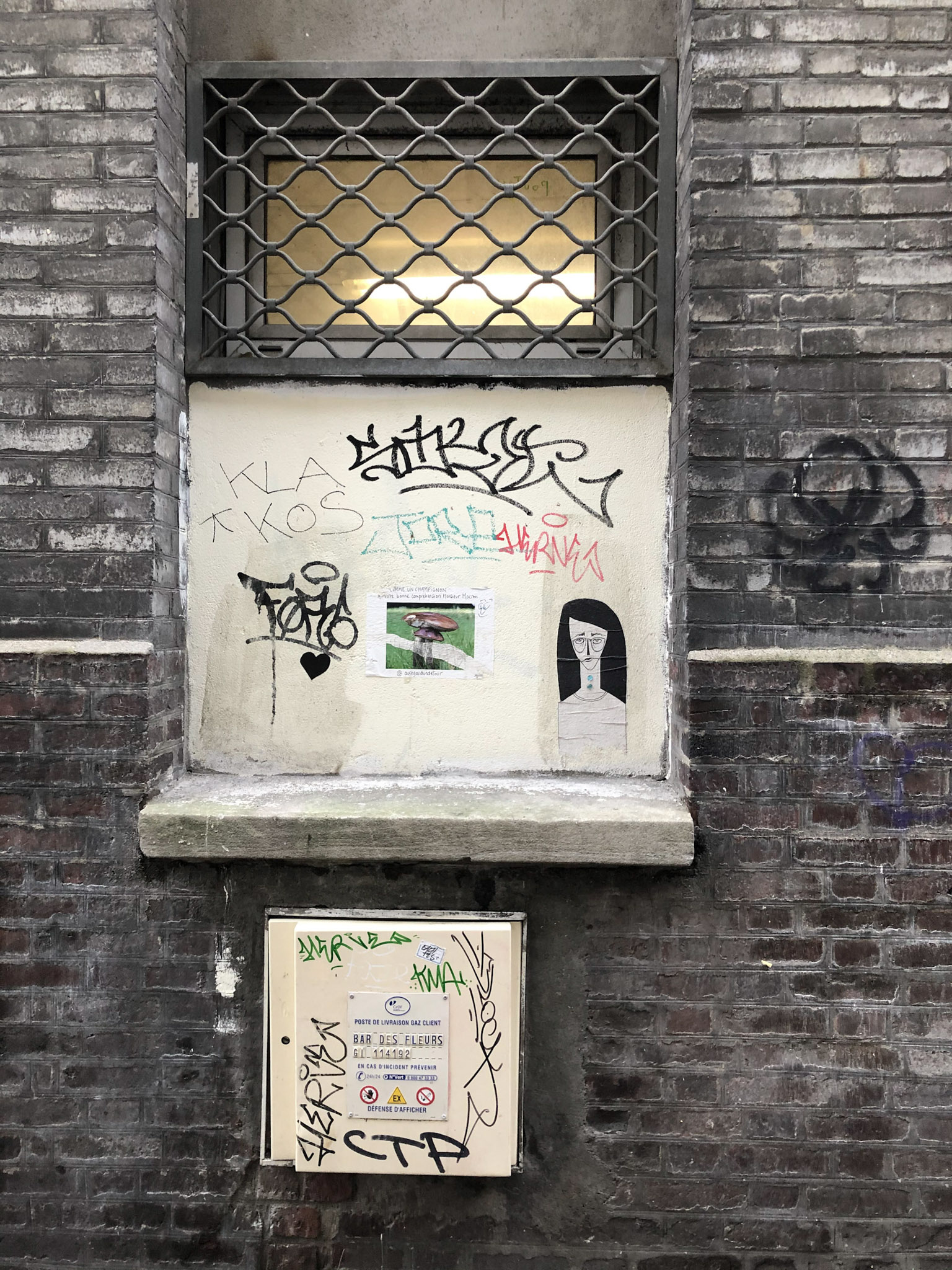 12 IMG 0641