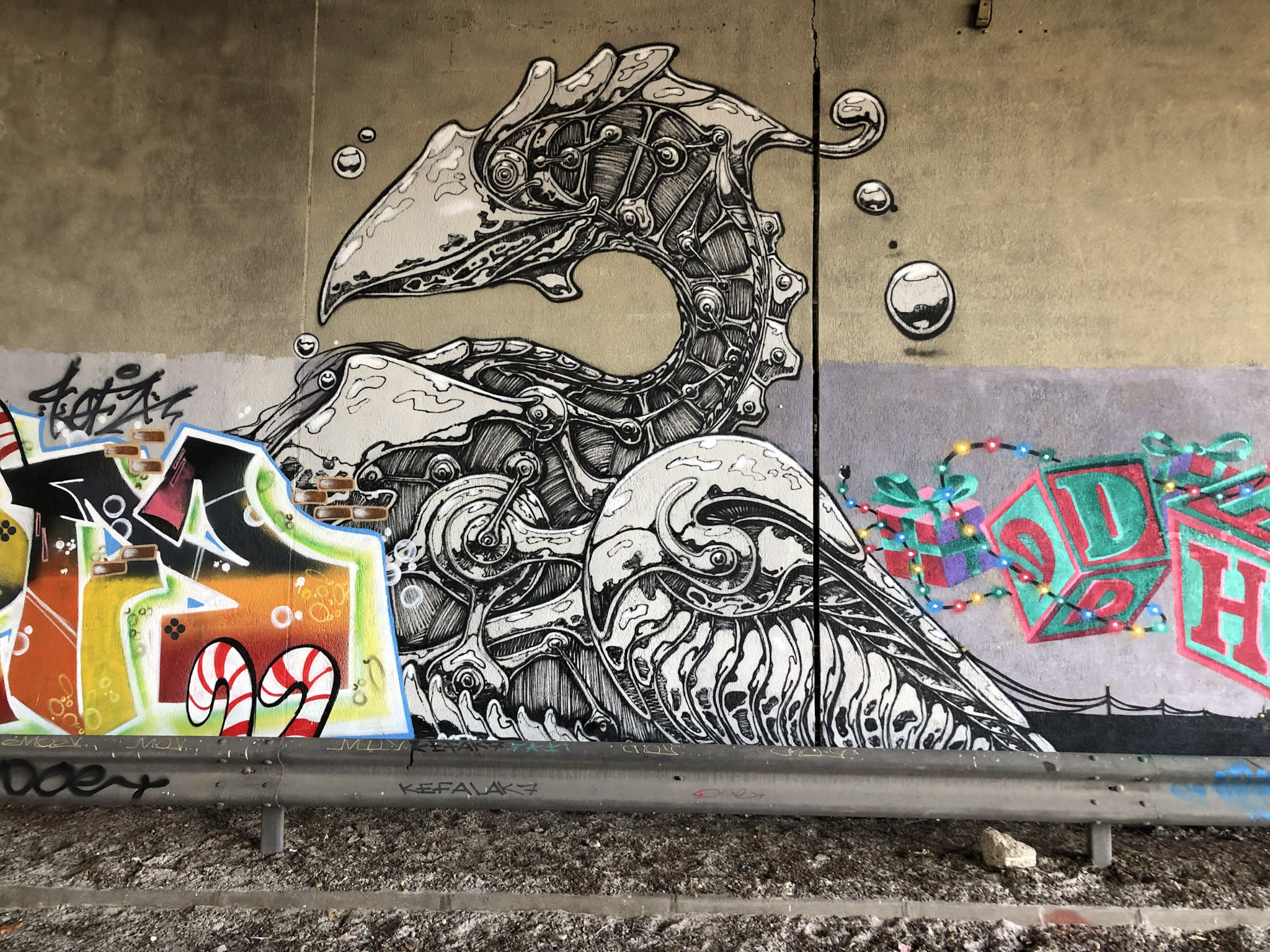 16 IMG 0711