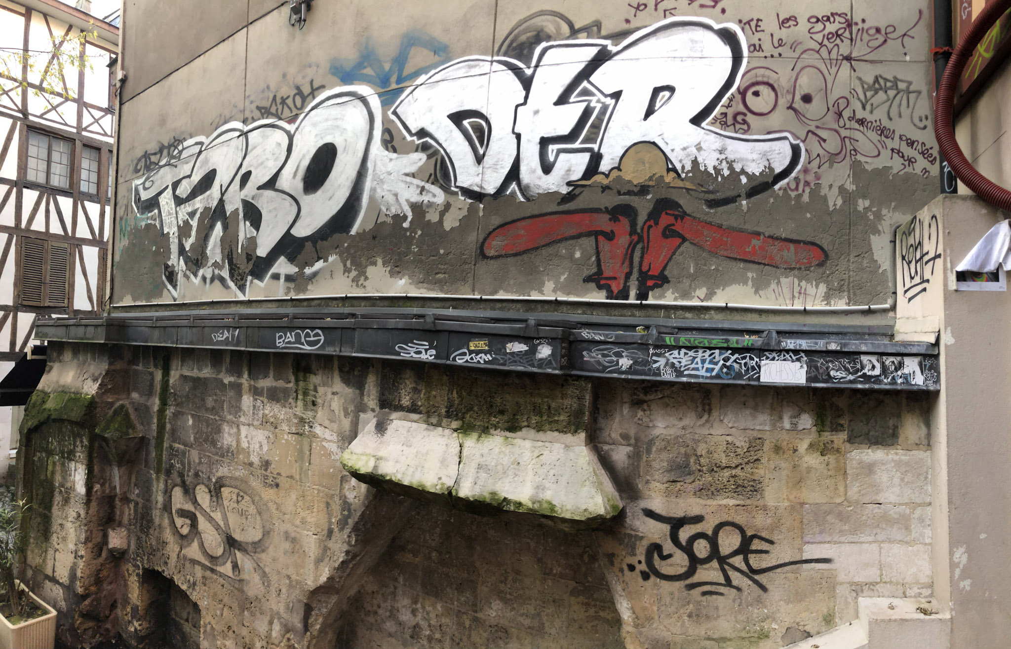2 IMG 0036