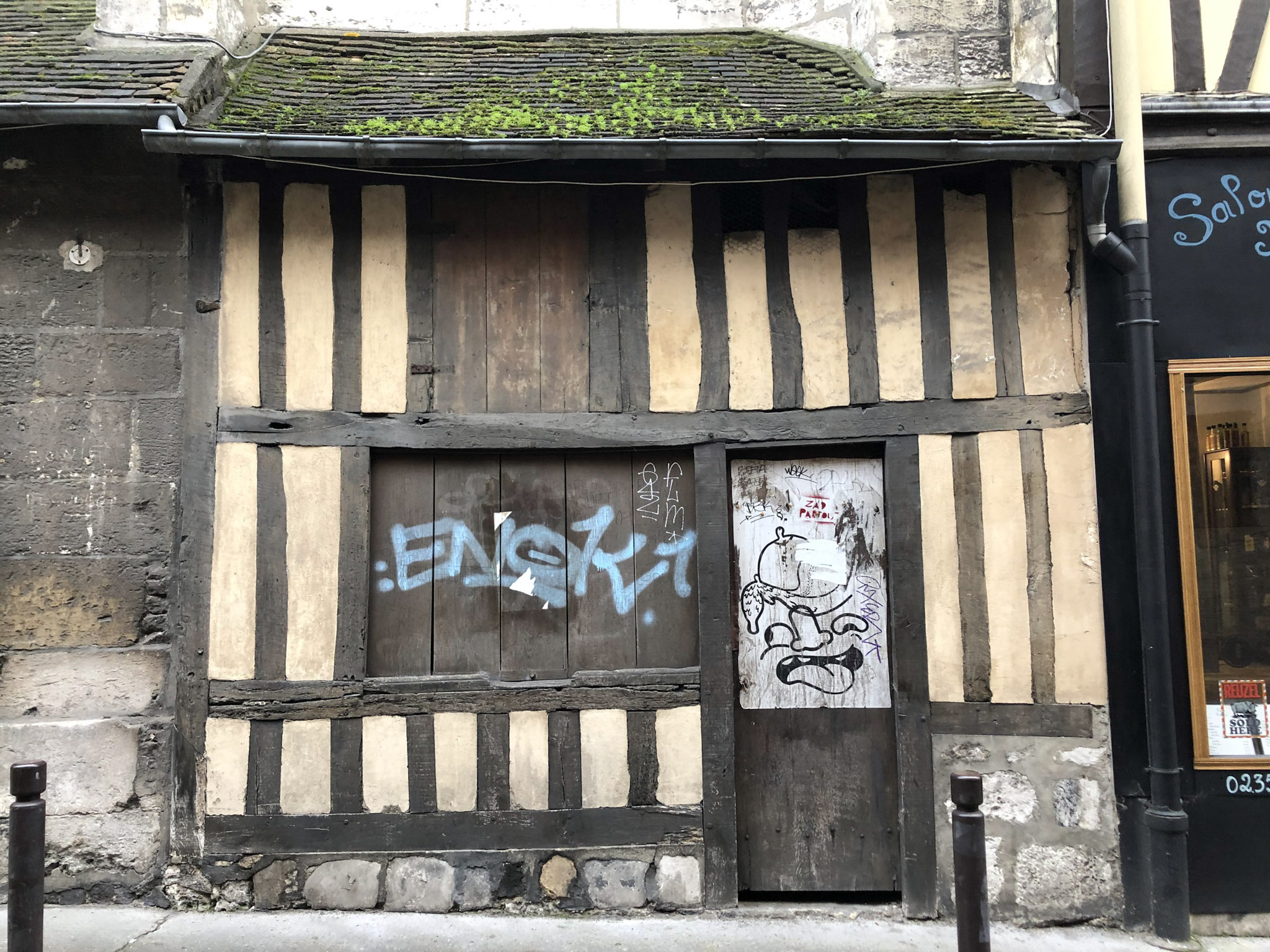 31 IMG 1065