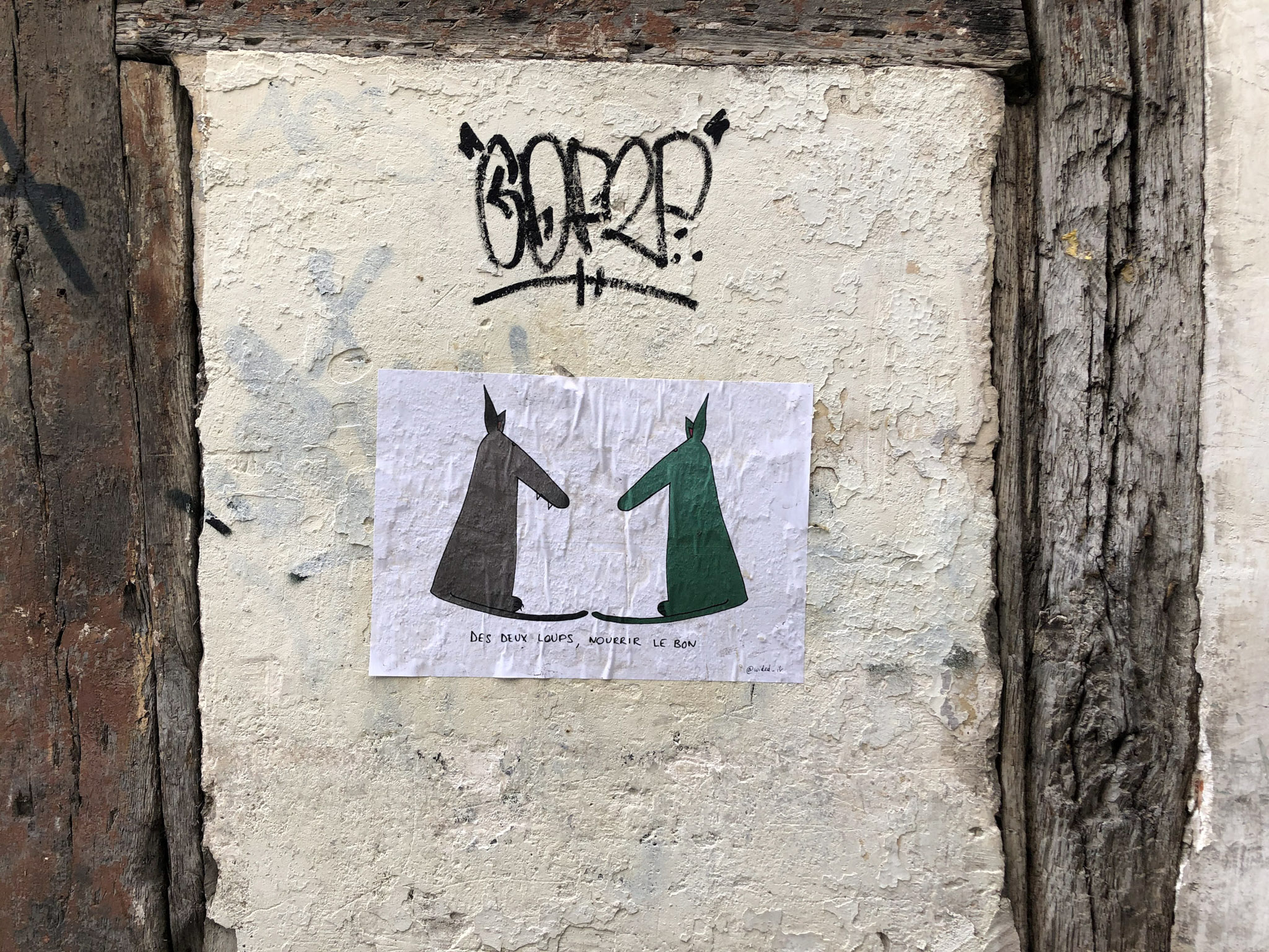 36 IMG 1095