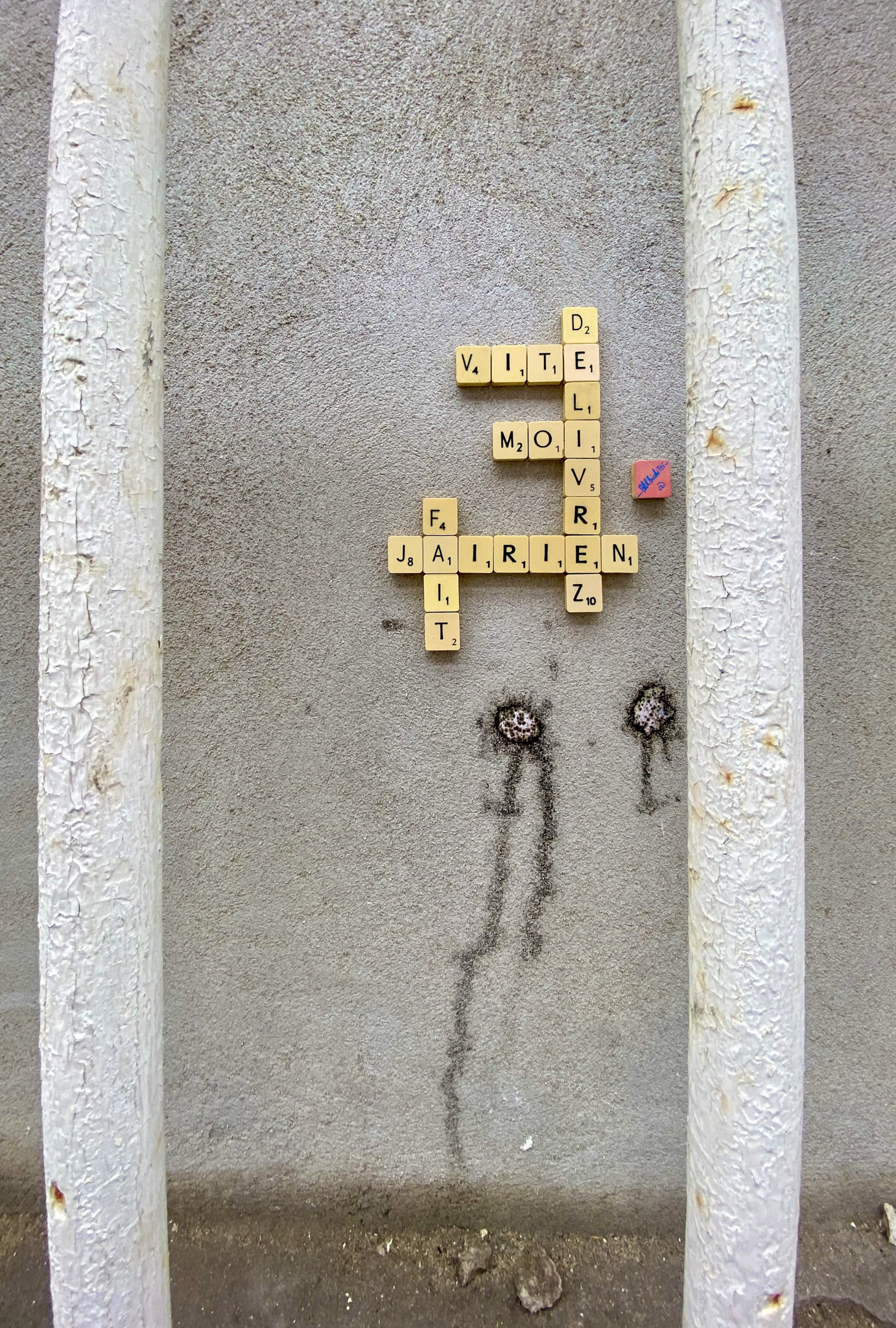 96 IMG 8631