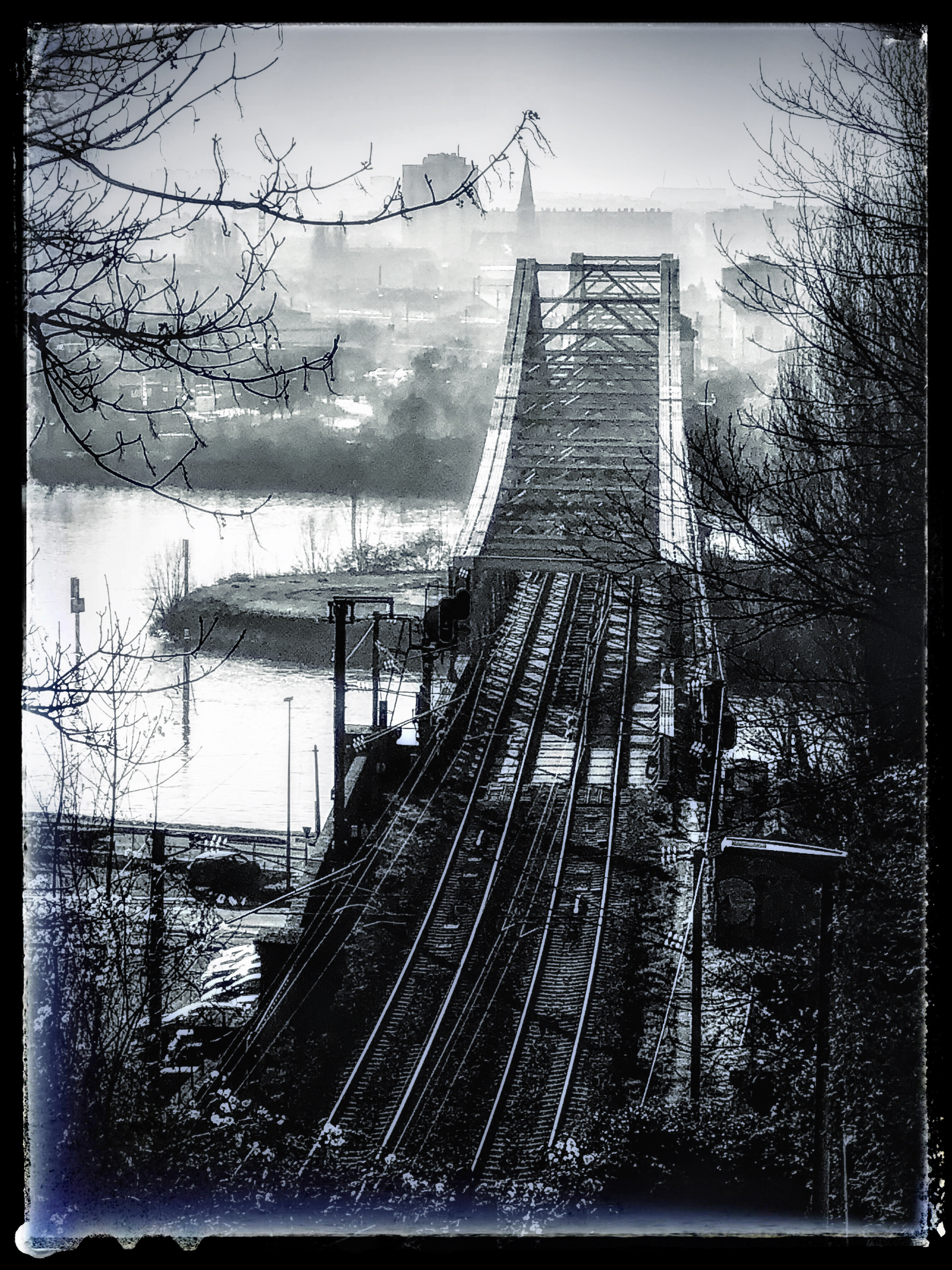 15 IMG 1049
