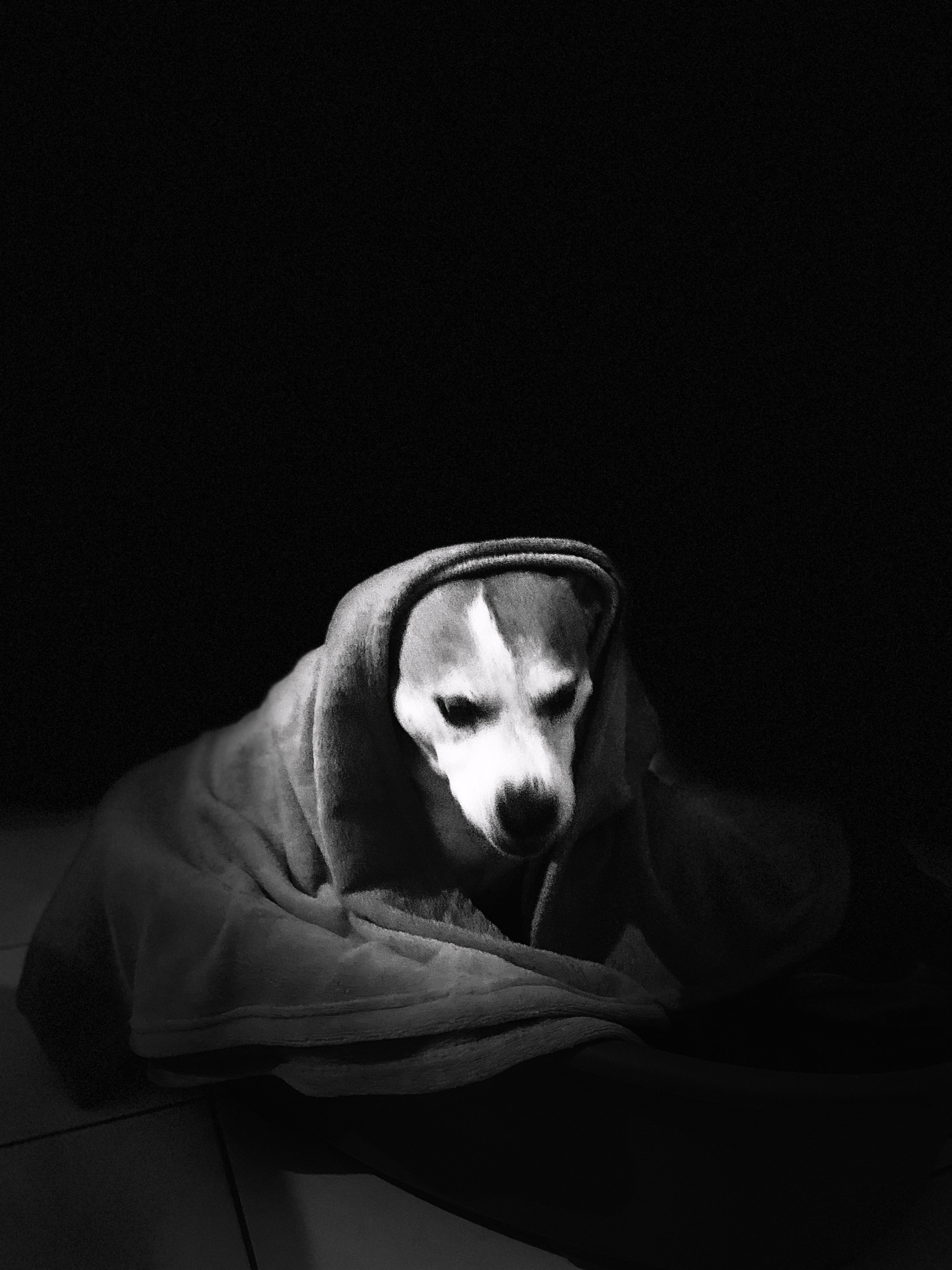 73 IMG 8615 jpg