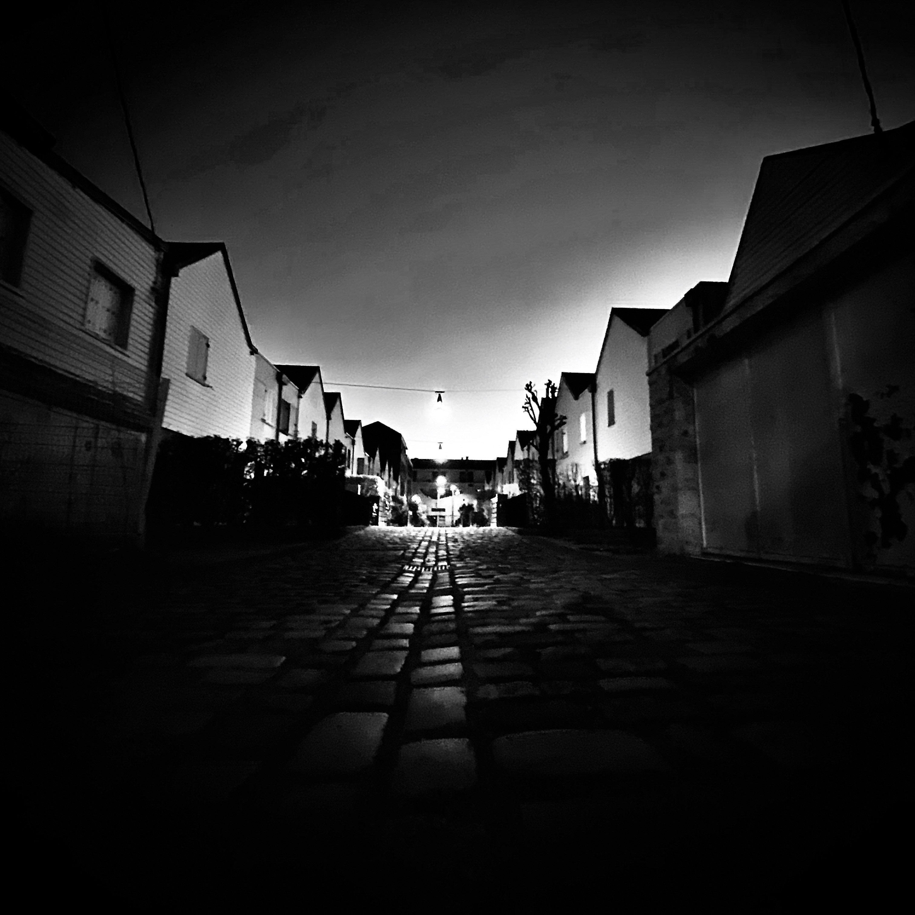 93 IMG 0125 jpg