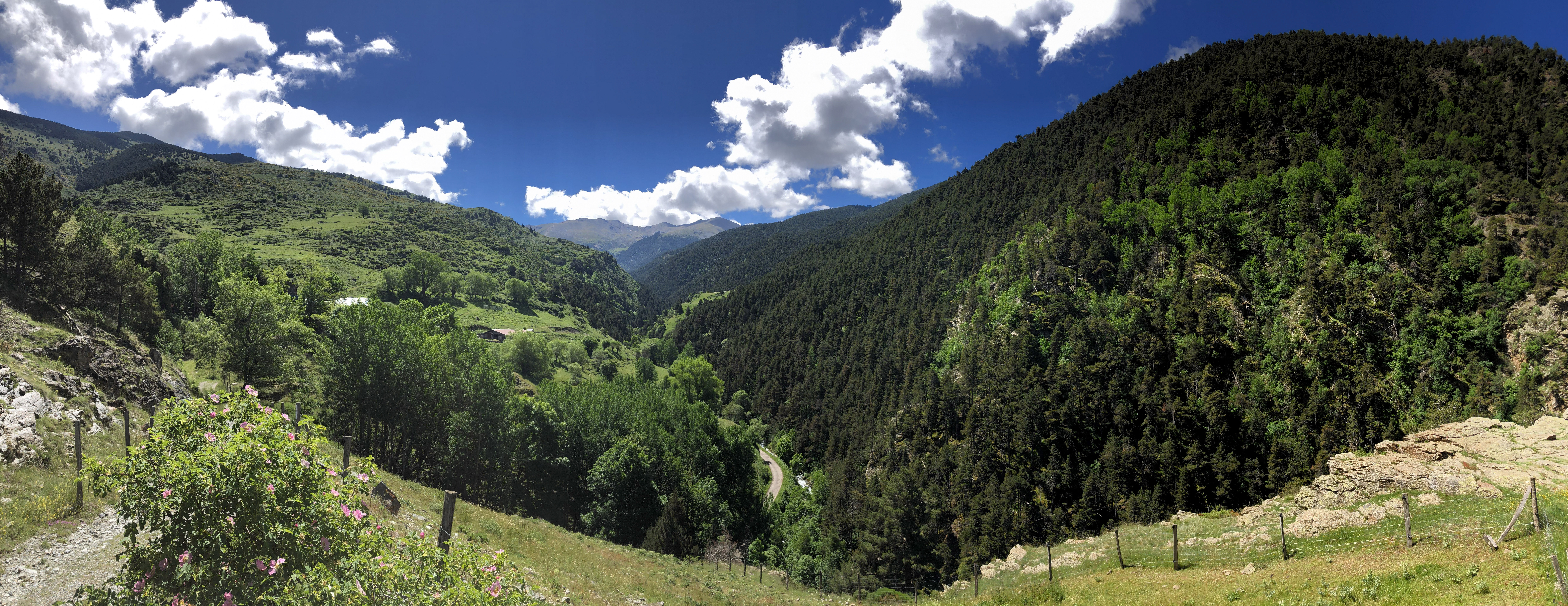 terre des ours   Pyrénées ariegeoises