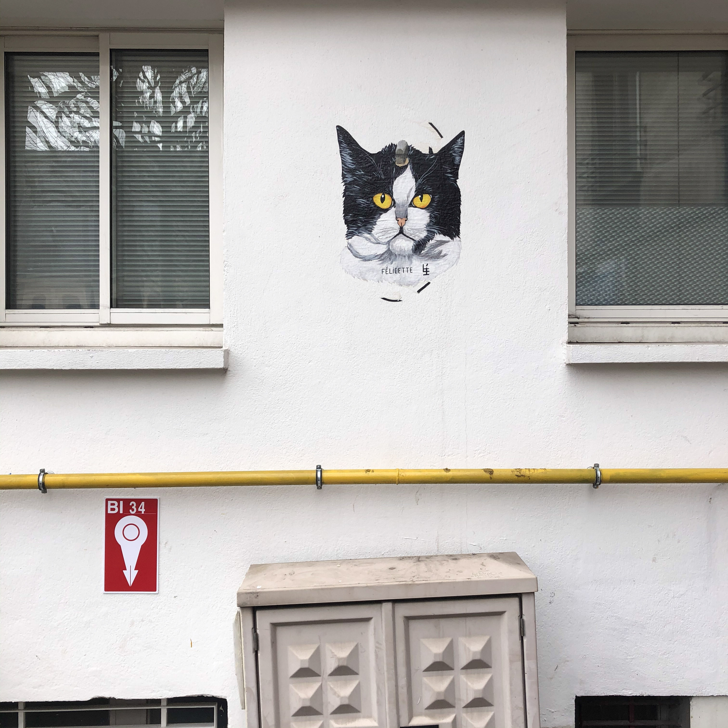 17 IMG 1040