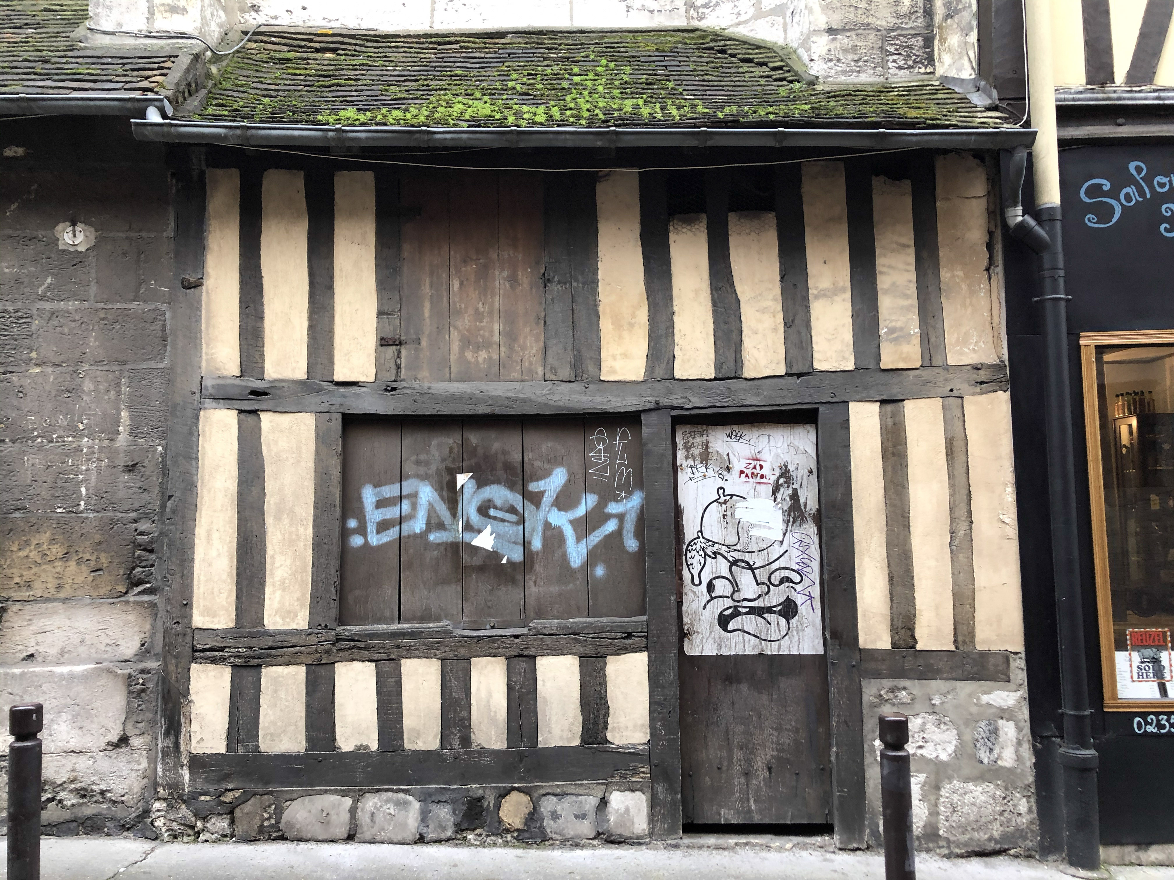 19 IMG 1065