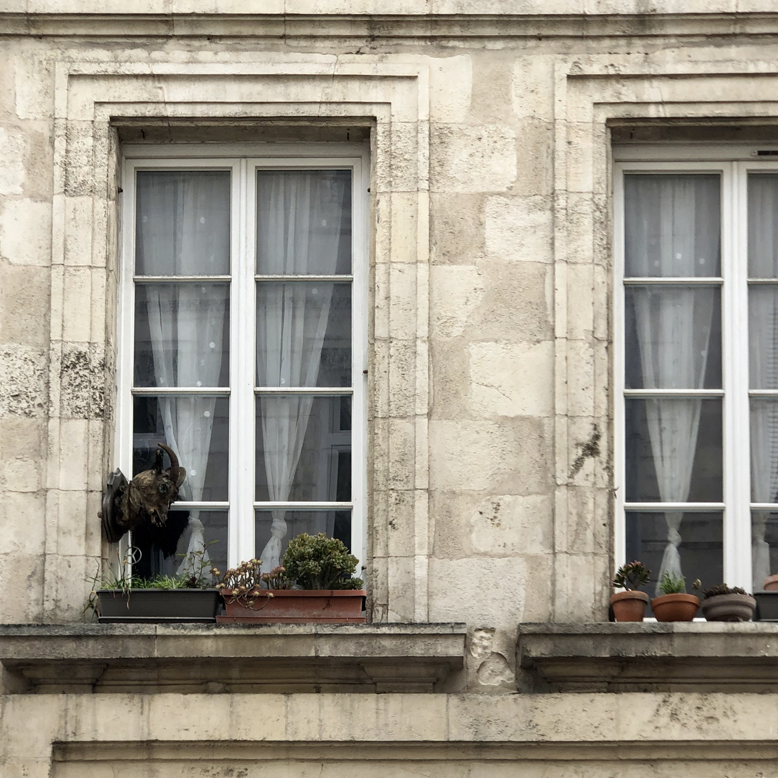 47 IMG 6874