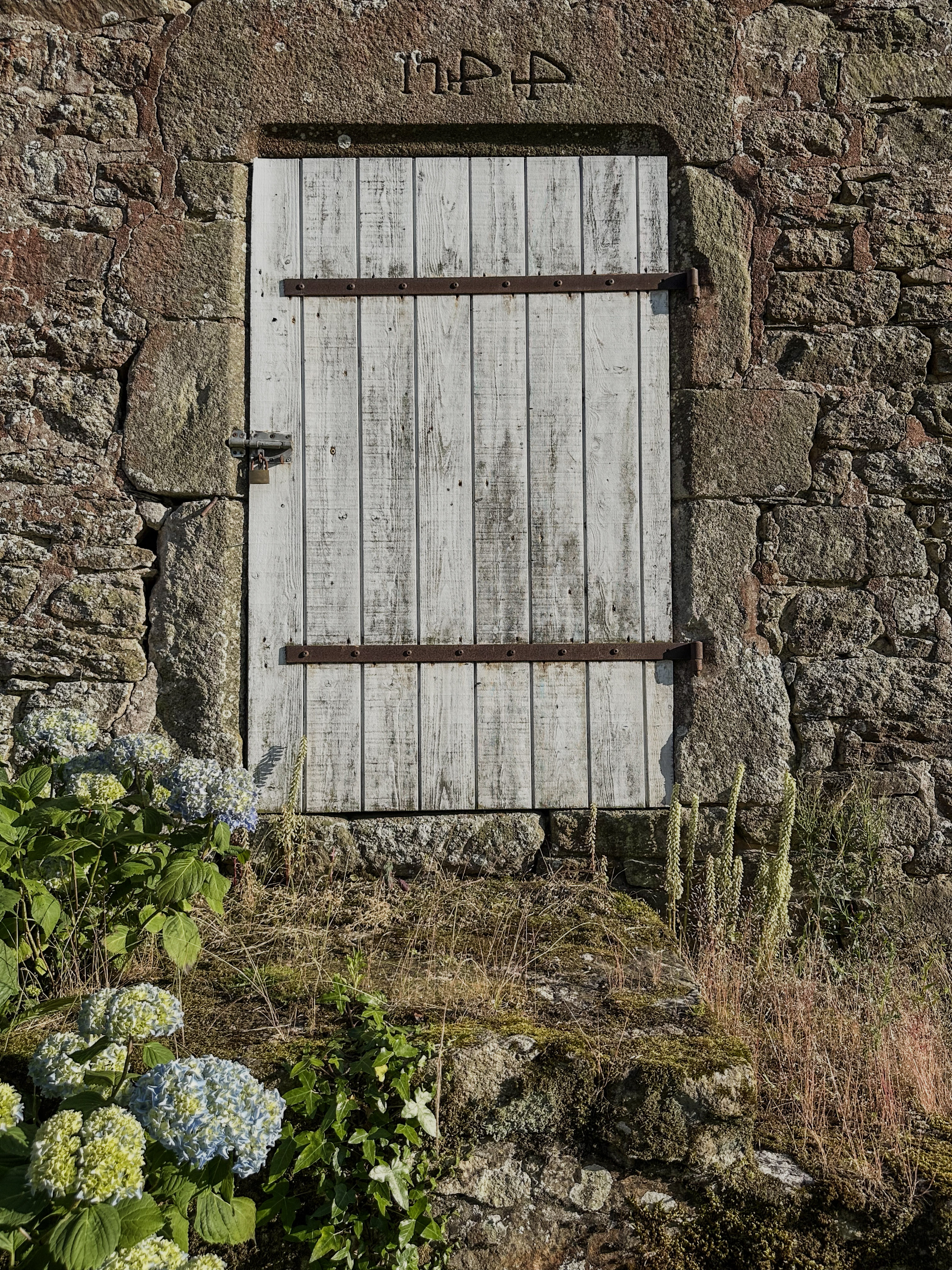 58 IMG 0678