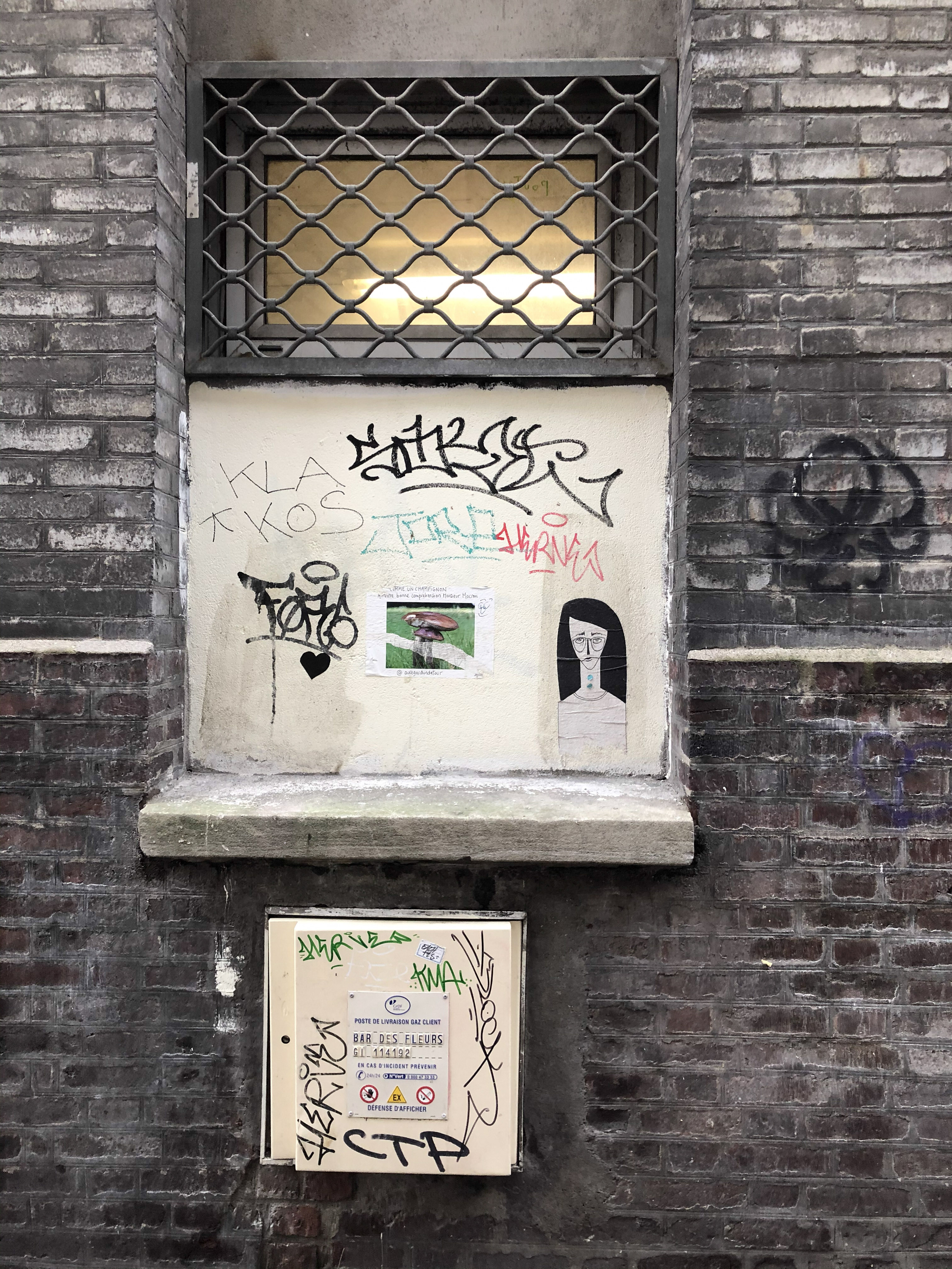 6 IMG 0641