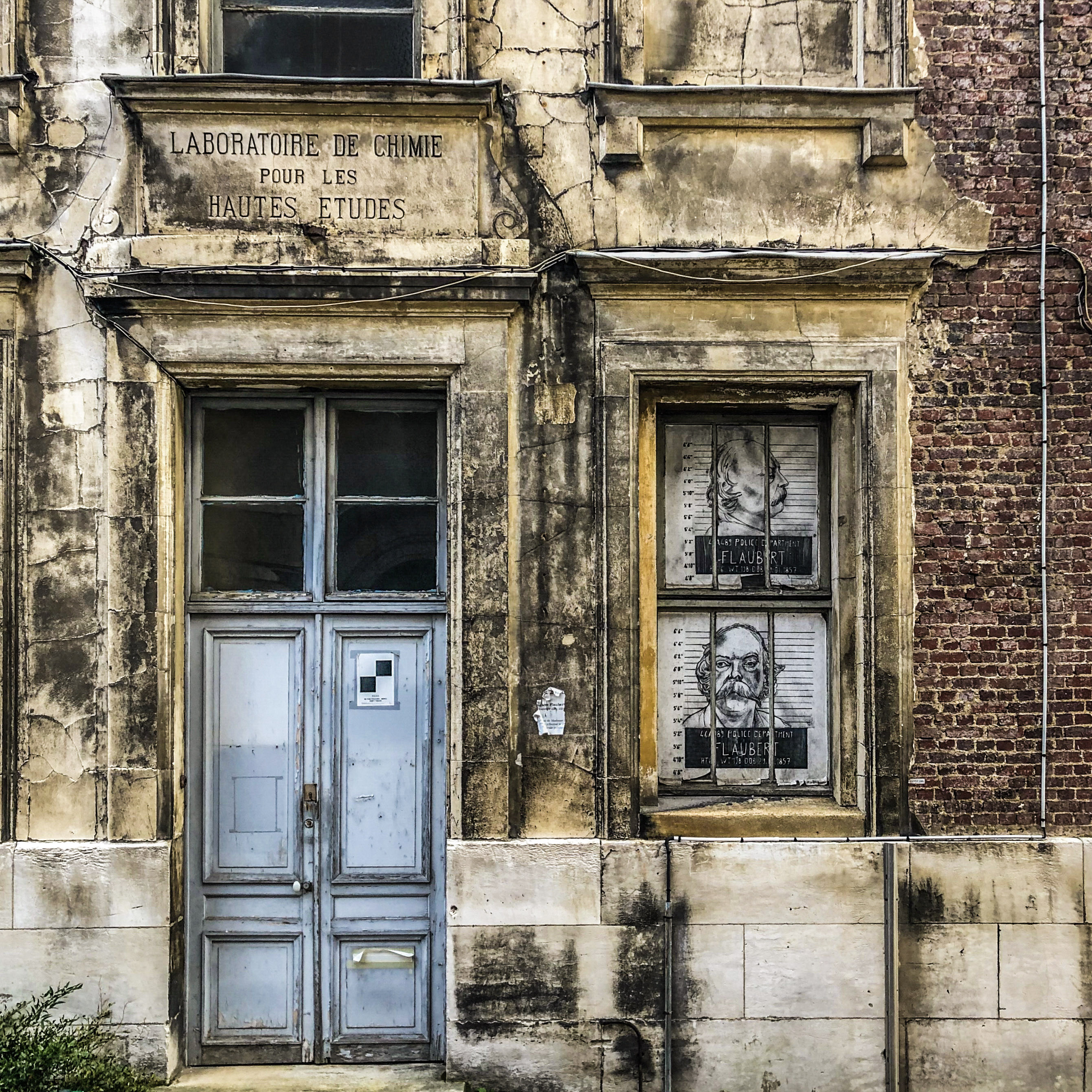 9 IMG 0704